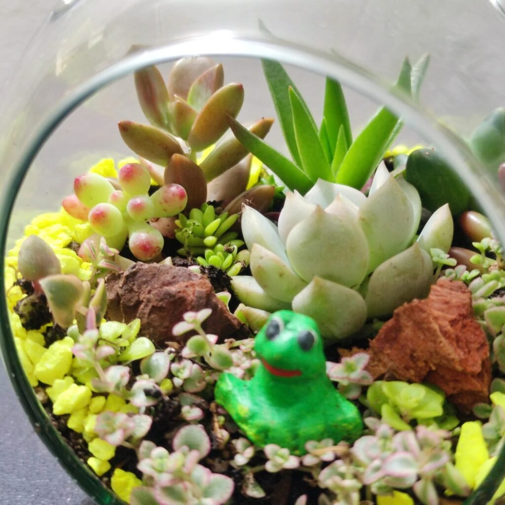 Terrario Suculentas En Burbuja De Cristal Mediano Vita Garden